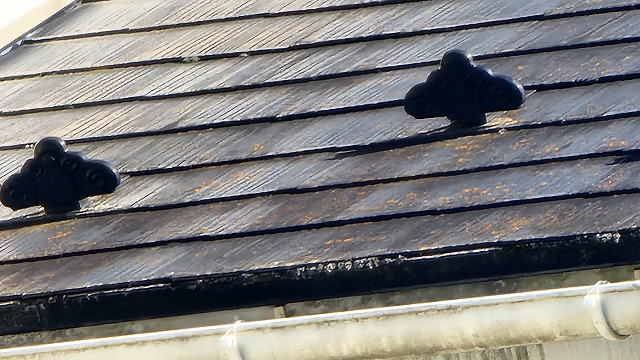 下伊那郡高森町：スレート屋根に苔が繁殖している様子
