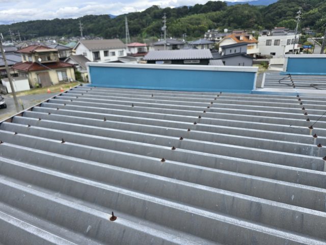 飯田市T邸_折半屋根塗装前