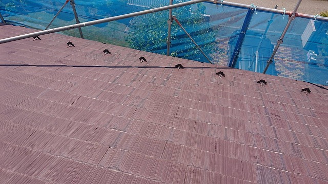 上伊那郡宮田村：スレート屋根の色あせや苔、カビなど