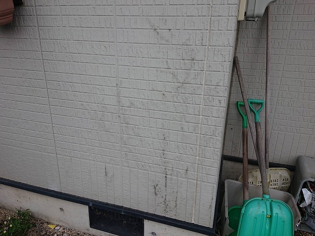 上伊那郡箕輪町：外壁サイディングの塗膜劣化によってカビが発生