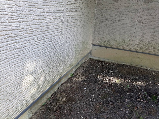 伊那市：ALC外壁の劣化で発生した苔やカビ