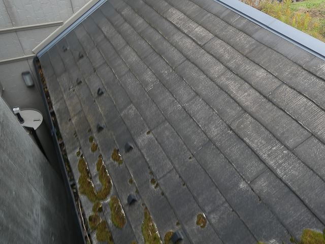 飯田市：スレート屋根の発生している苔