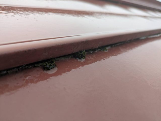 伊那市N邸_屋根の継ぎ目に発生したコケ