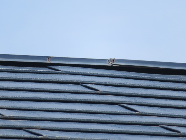金属屋根の棟板金劣化状況