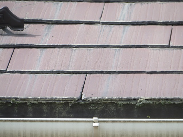 上伊那郡宮田村：スレート屋根のダメージが見られる現場調査時の様子