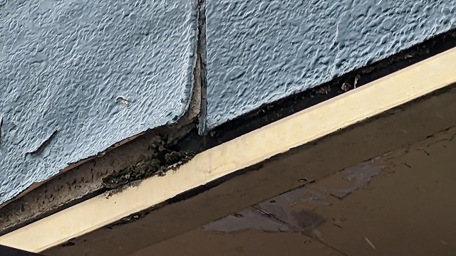 下伊那郡松川町：雨漏りがあったベランダの外壁サイディングのダメージ