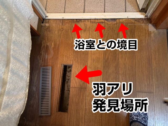 下條村_現場調査