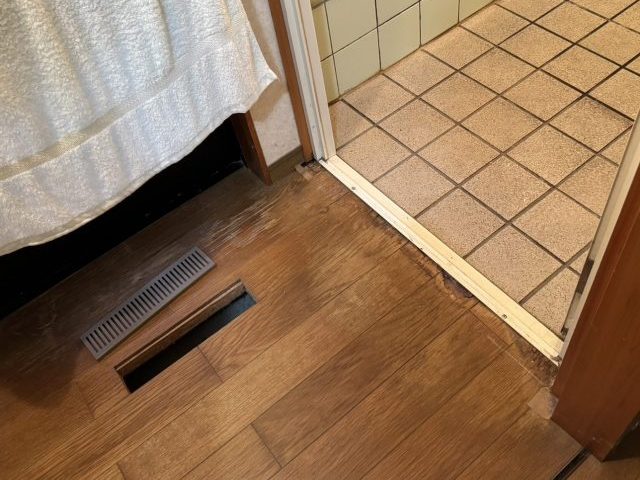 下條村_シロアリが疑われる脱衣室の床