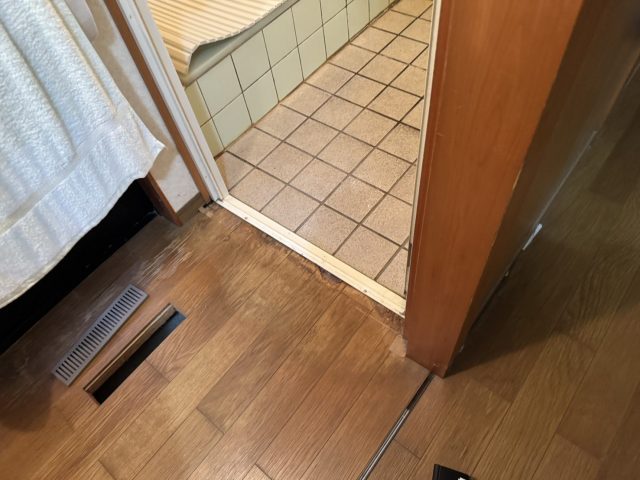 下條村_羽アリを発見した周辺